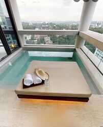 Hana (D10), Condominium #477290471